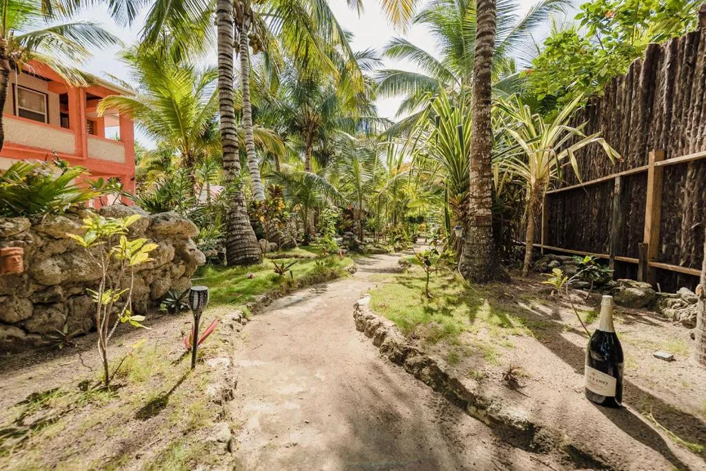 Image 5 of Bella Vista Resort Belize