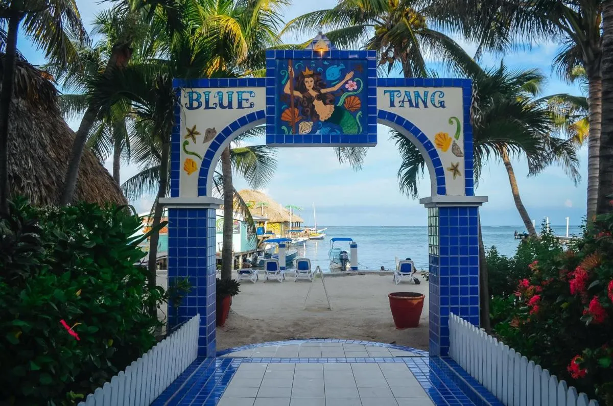 Image 6 of Blue Tang Inn