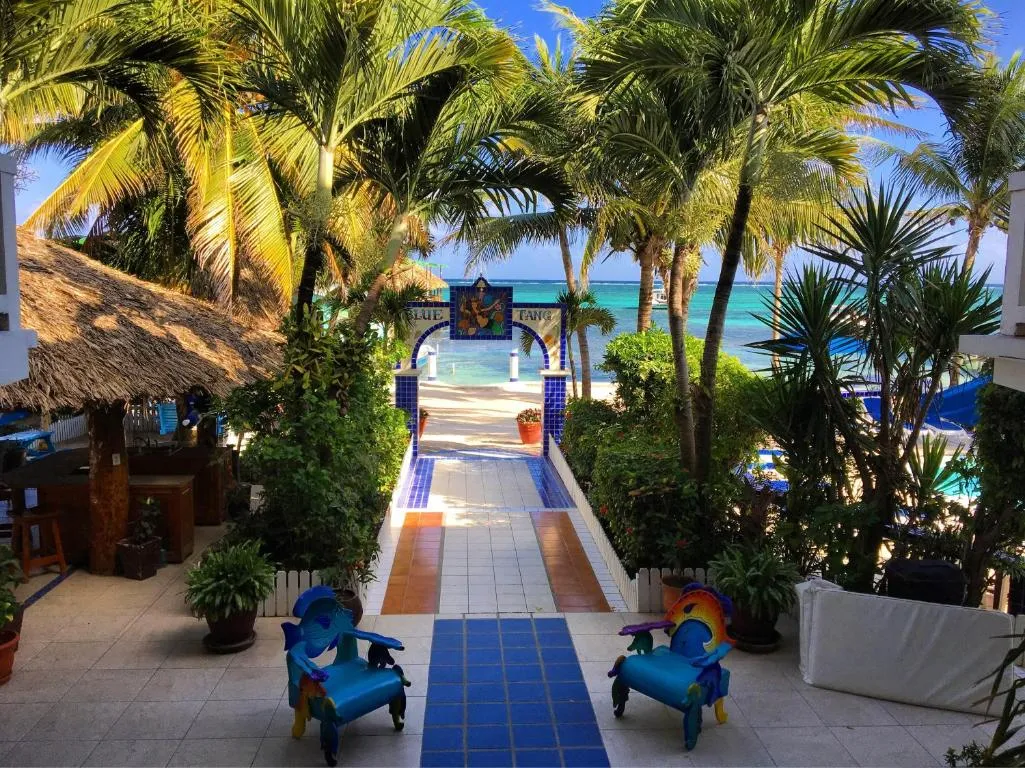 Image of Blue Tang Inn