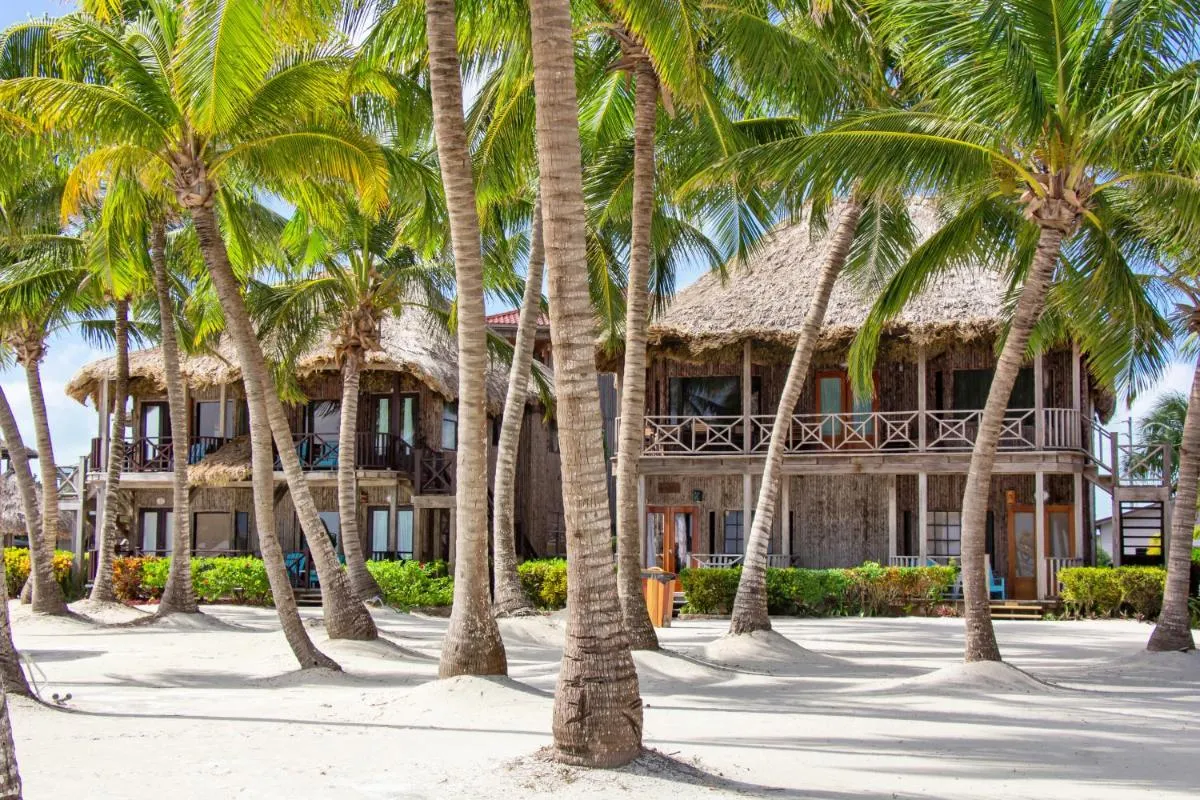 Image 5 of Dolphin Dreams Villa B3