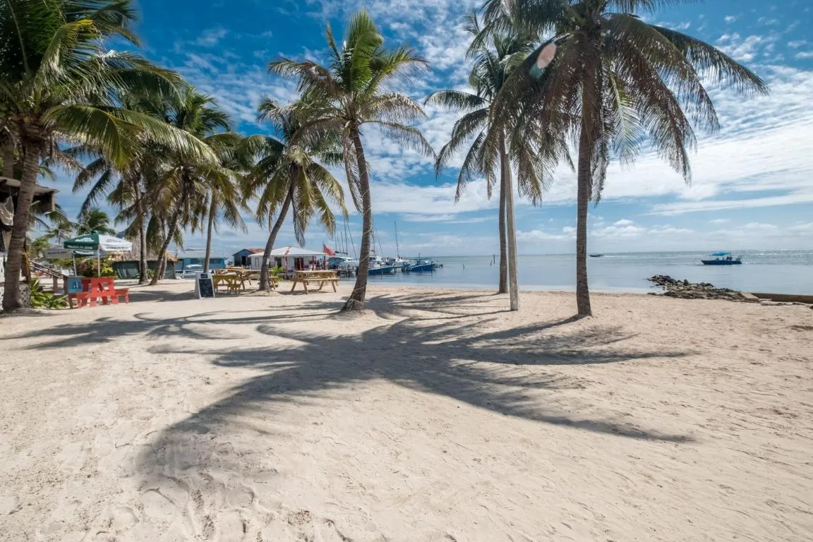 Image of Holiday Hotel