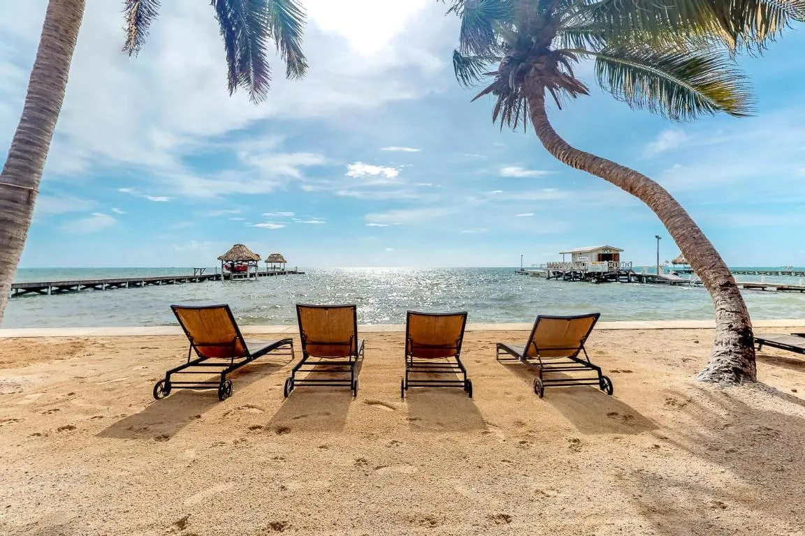 Image of Palm @ Caribe Island