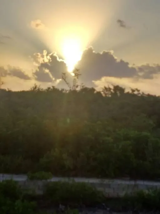 Image 6 of The spot in Tarpon Bay