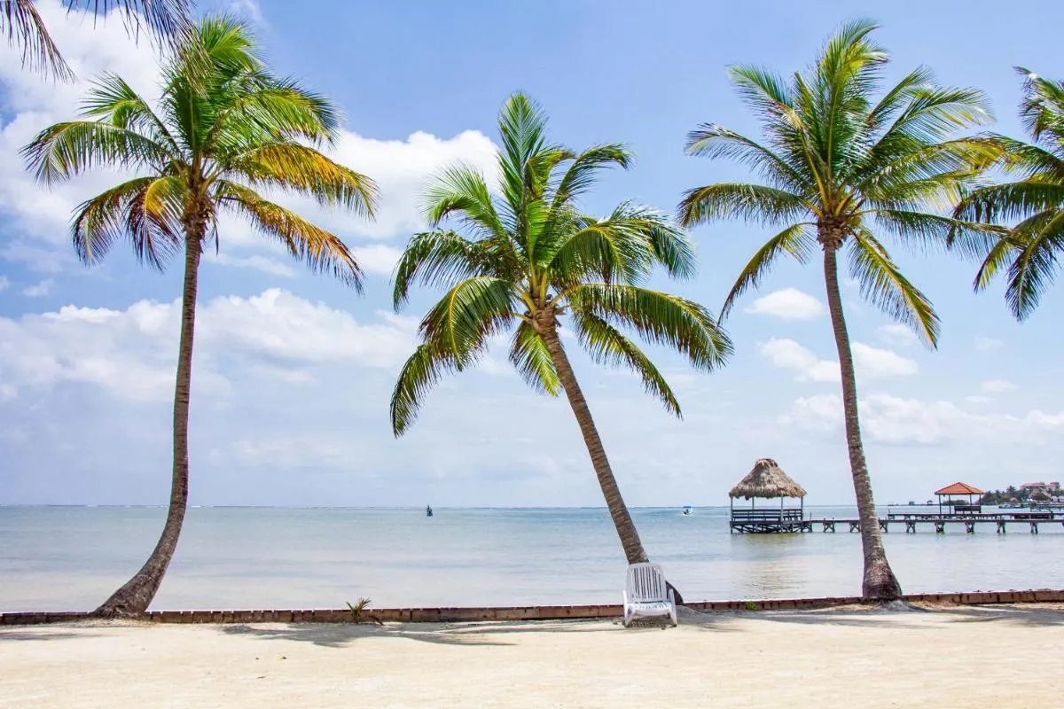 Image 5 of Villas de Isla Bonita A4