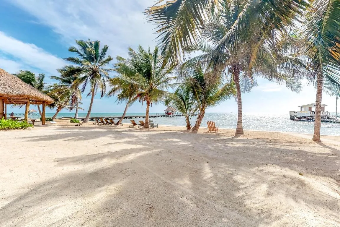 Image of Zinnia @ Caribe Island